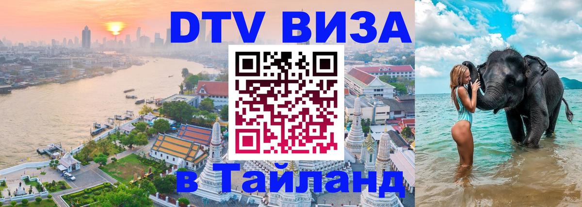 Оформление DTV визы под ключ: стоимость и тарифы, только загранпаспорт - Доха  04.12.2025 